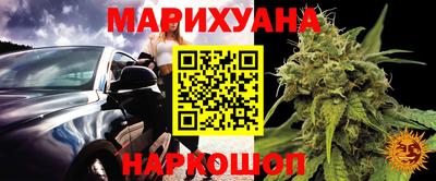 шишки Свободный