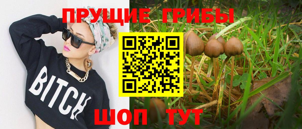Соликамск  Галлюциногенные грибы ЛСД  Вход с VPN  Галлюциногенные грибы GOLDEN TEACHER 